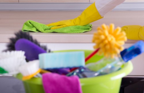 Pet stain odour removal service for a carpeted home in Nottinghill