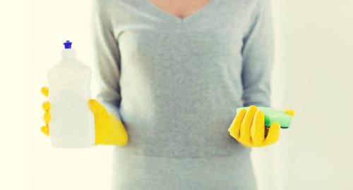 Professional cleaning of pet stains and smells in a Nottinghill apartment