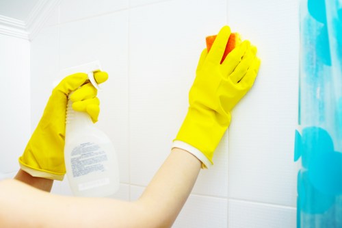 Professional stain removal for carpets, sofas and soft furnishings