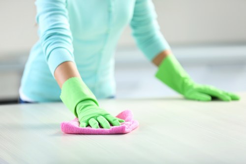 Professional cleaning of shared hallway and stairwell in a local property