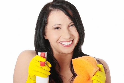 Kitchen deep cleaning during a tenancy clean in Nottinghill