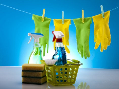 Professional cleaning team working in a Nottinghill property