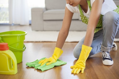 Deep cleaning for pet urine stains on upholstery in a Nottinghill property